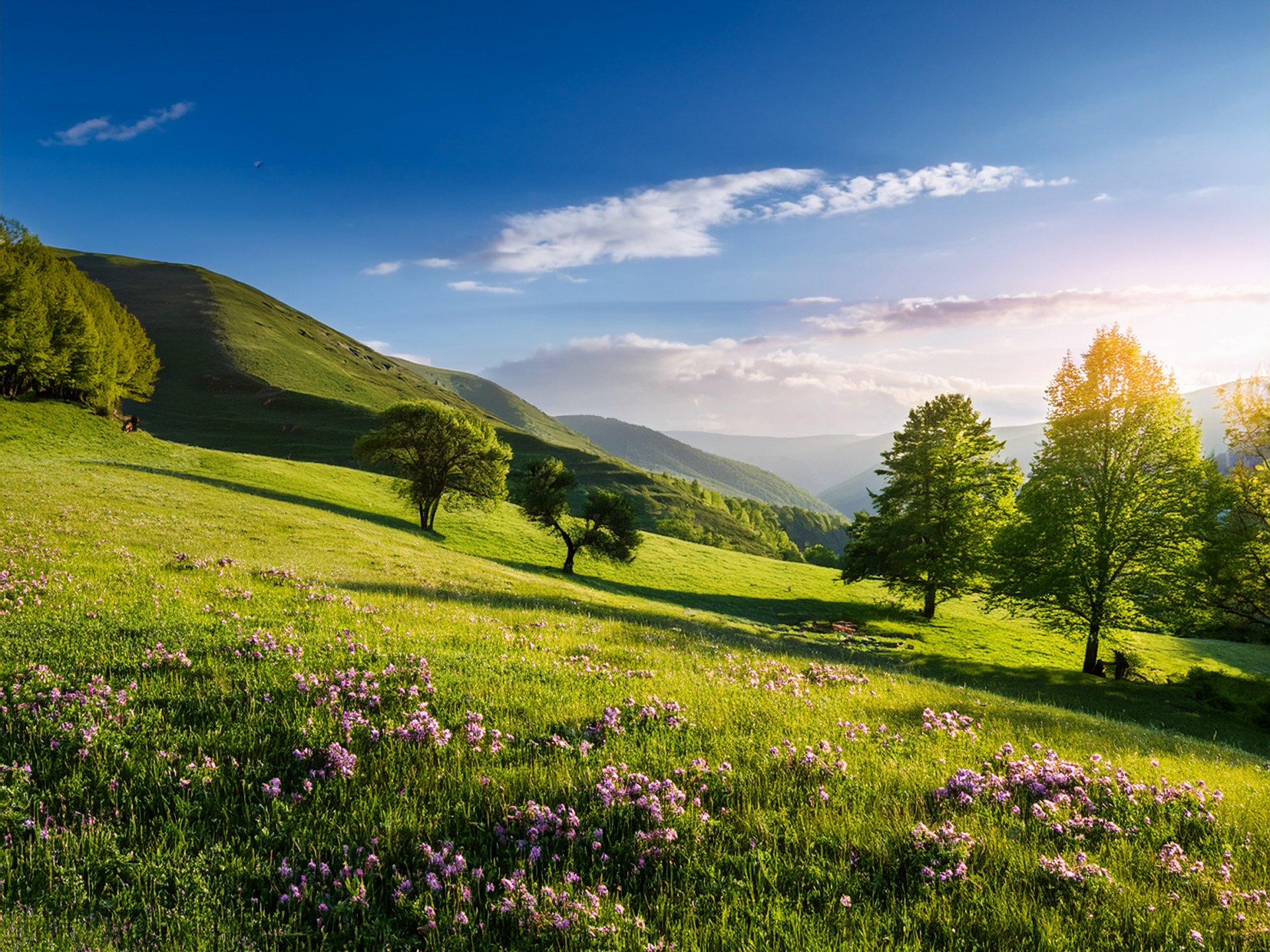 Grün- & Gartenpflege